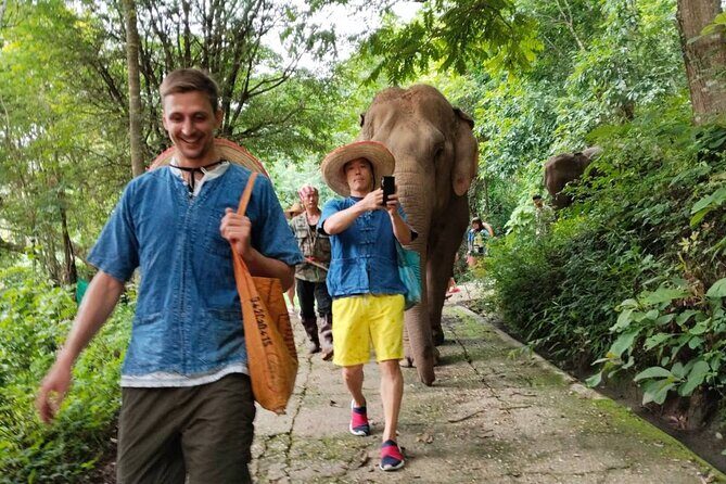 Elephant Experience and Hidden Jungle Waterfall Chiang Mai - Time, group size, and what that means for your day