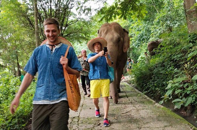 Elephant Experience and Hidden Jungle Waterfall Chiang Mai - Value check: is $52.15 per person a fair deal?