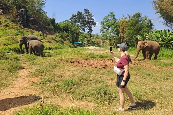 Elephant Sanctuary, Wat Ban Den & Sticky Waterfall - Price and Value: Why $58.66 Can Make Sense Here