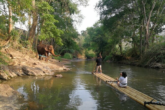 Elephant Sanctuary + Waterfall + Bamboo Rafting One Day Trip - Key highlights worth getting excited about