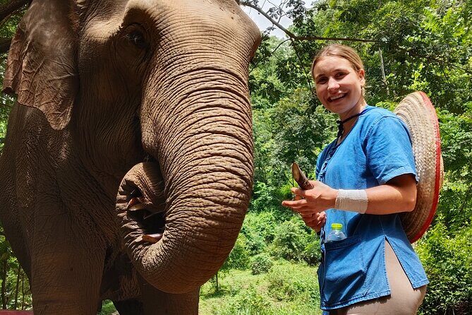 Ethical Elephant Visit and White Water Rafting in Chiang Mai - Why This Day Trip Works: Ethics First, Adventure Second