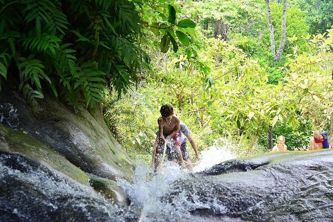 Experience Elephant Sanctuary + Sticky Waterfall - Lunch included: what to expect and why it helps