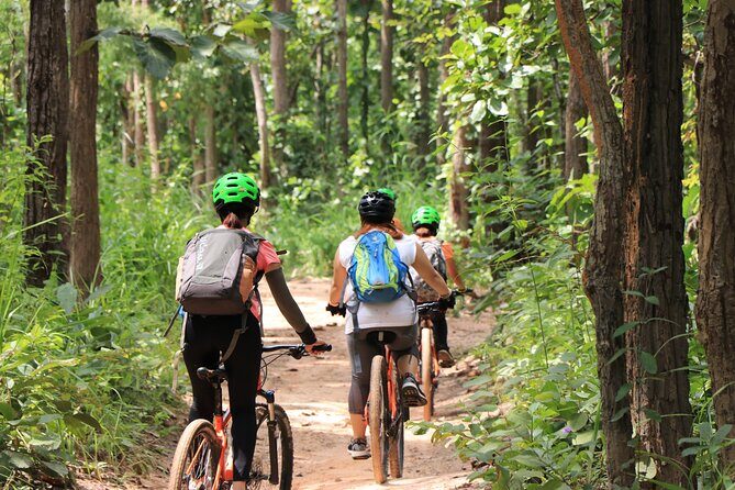 FIELDS OF GOLD Mountain Biking Tour Chiang Mai - Stop 2: Trailhead Coffee Break—Fuel Without Overthinking