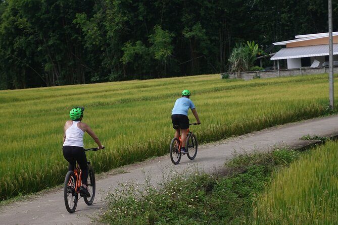 FIELDS OF GOLD Mountain Biking Tour Chiang Mai - Farms, Rice Fields, And Local Snacks: Why The Route Feels Like Chiang Mai