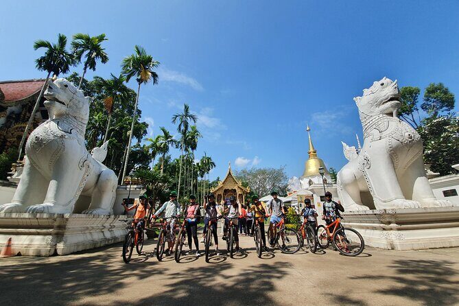 FIELDS OF GOLD Mountain Biking Tour Chiang Mai - Who This Tour Fits Best (And Who Should Skip It)