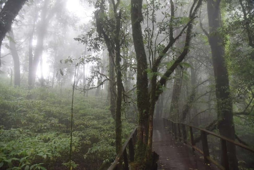 From Chiang Mai: Doi Inthanon National Park Day Trip - Price and value: is $61 a smart spend?
