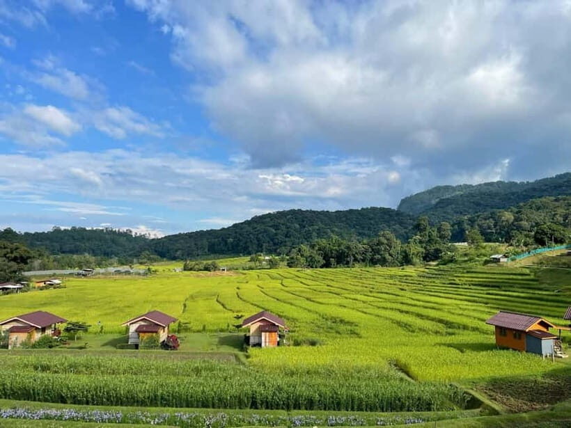 From Chiang Mai: Doi Inthanon National Park Day Trip - Mae Klang Luang village lunch: Karen food, rice terraces, and coffee