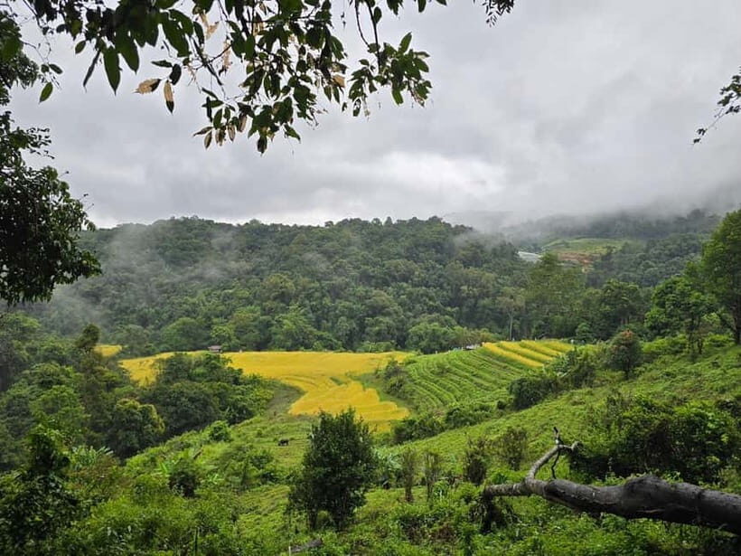 From Chiang Mai: Doi Inthanon National Park Day Trip - Wachirathan Waterfall: big power and multiple viewpoints