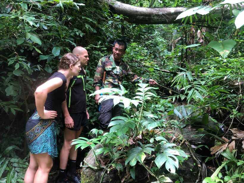From Chiang Mai: Doi Saket Hiking Tour with Lunch - Key highlights worth showing up for