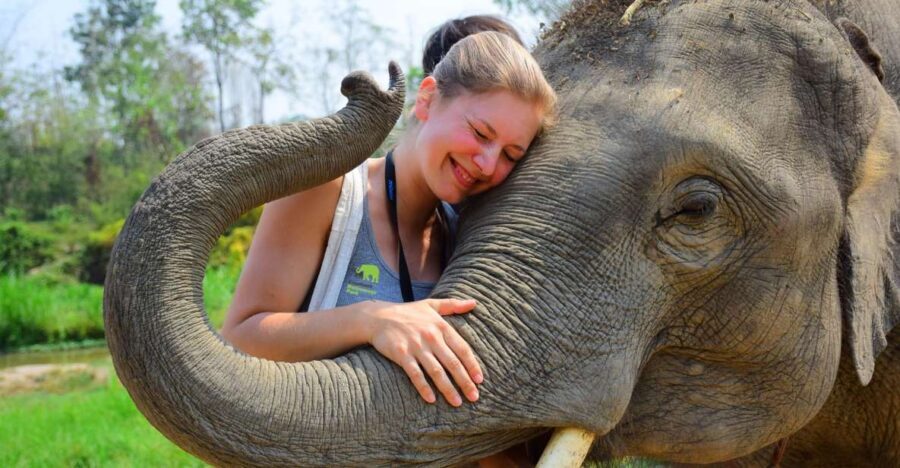 From Chiang Mai: Elephant Care Program and Nursery Tour - Changing Into Local Clothes and Learning the Rules That Keep It Safe