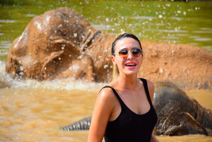 From Chiang Mai: Elephant Care Program and Nursery Tour - Feeding Time and Healthy Treat Prep: The Hands-On Part People Talk About