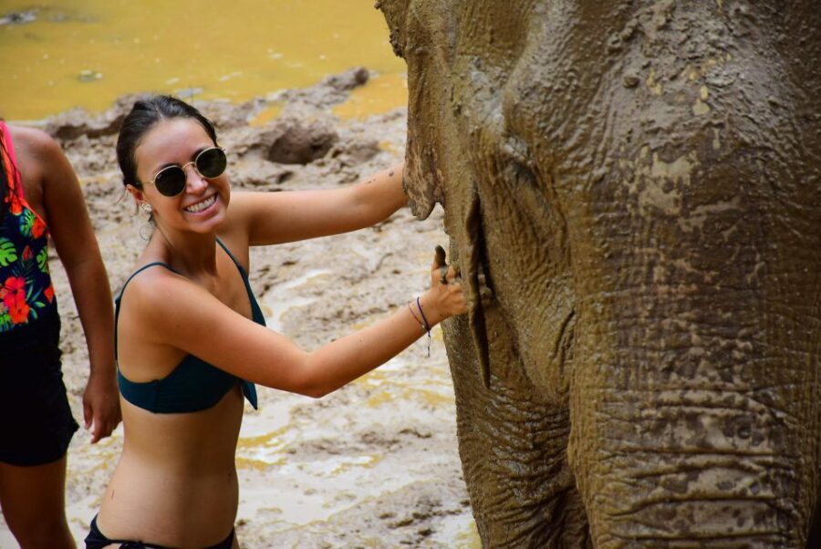 From Chiang Mai: Elephant Care Program and Nursery Tour - Thai Buffet Lunch and Hydration: A Real Break in the Middle