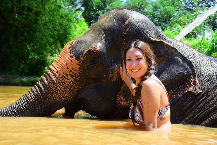 From Chiang Mai: Elephant Care Program and Nursery Tour - Transportation and Timing: Why the 5–6 Hours Feels Just Right