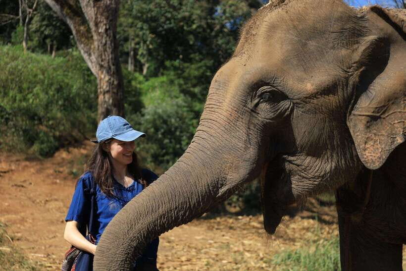 From Chiang Mai: Living Green Elephant Sanctuary Tour - Getting there and settling in: Mo Hom clothing and the scenic drive