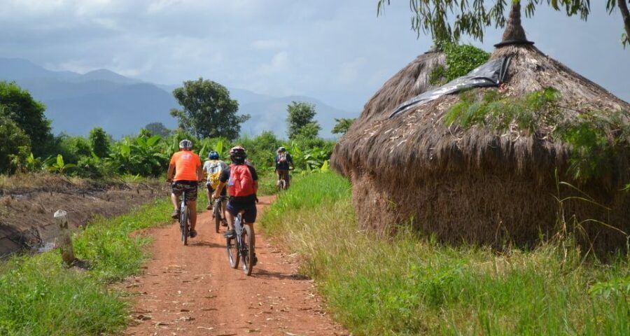 From Chiang Mai: Mae Taeng Valley and Waterfalls Cycle Tour - Who This Tour Is Best For