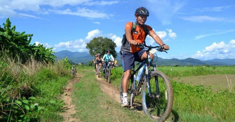 From Chiang Mai: Mae Taeng Valley and Waterfalls Cycle Tour - Morning Village Life: Rice Farming Lessons You Can See