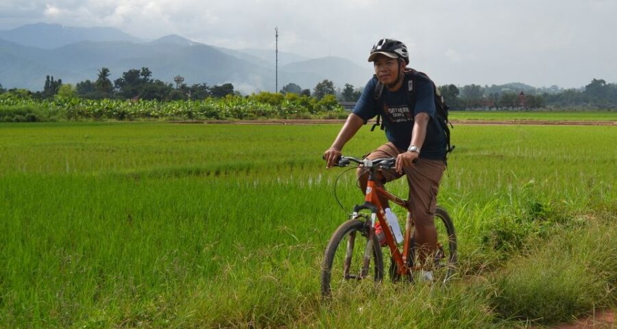 From Chiang Mai: Mae Taeng Valley and Waterfalls Cycle Tour - Guides and Group Size: Small Team, Easy-to-Handle Pace