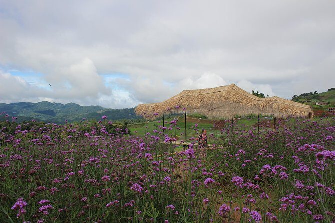 Fruiful Oneday! Trip outskirt of a City from end to end - Key Highlights at a Glance