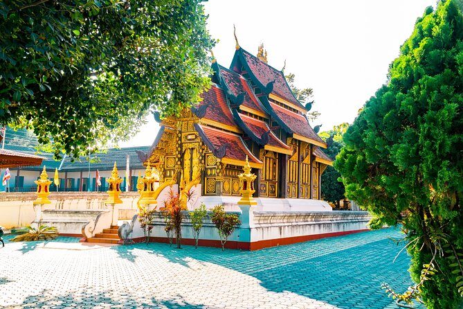 Full Day Chauffeur Driven Tuk Tuk Adventure in Chiang Mai including rafting - Elephants in Chiang Mai: what to expect from the learning focus