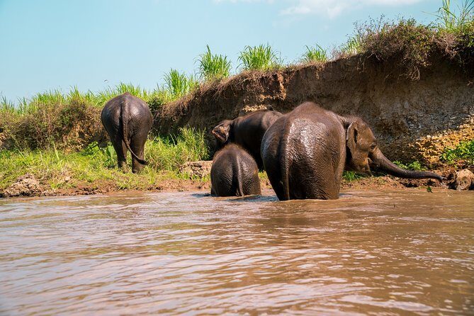 Full Day Chauffeur Driven Tuk Tuk Adventure in Chiang Mai including rafting - Stop 1 in Mae Wang: temples, farming communities, and a waterfall hike