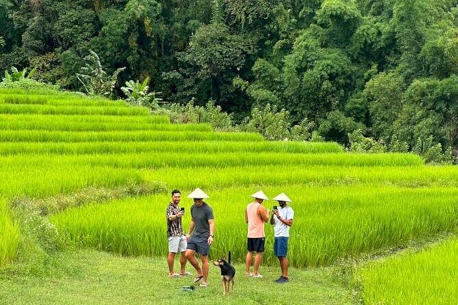 Full-Day Doi Inthanon National Park Tour with Trek and Pagodas - Doi Inthanon: why this day feels like a real change of scene