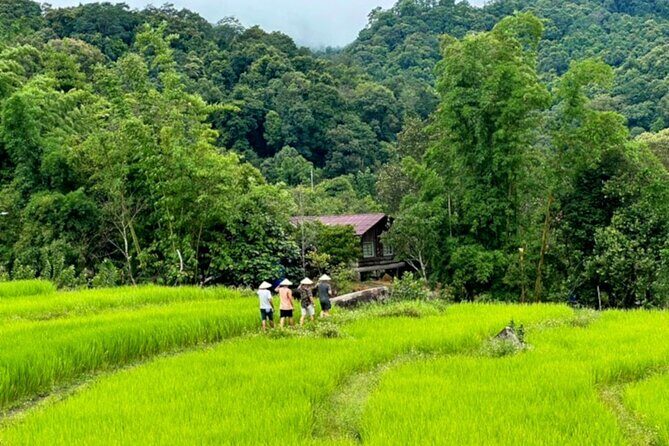 Full-Day Doi Inthanon National Park Tour with Trek and Pagodas - King’s and Queen’s Pagodas: a royal monument you can actually walk around