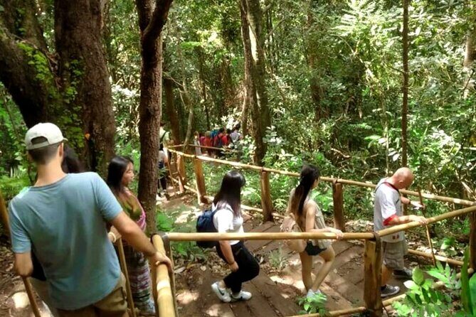 Full-Day Doi Inthanon National Park Tour with Trek and Pagodas - Hmong Market lunch and the Karen Hill Tribe visit: culture as a planned break