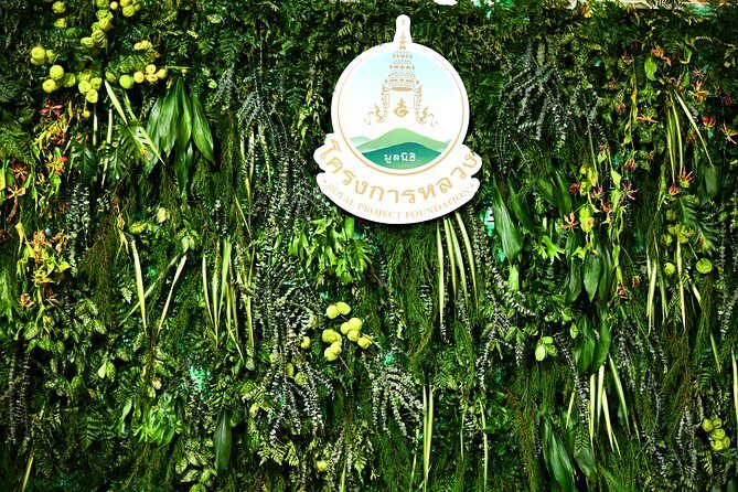 Full-Day Doi Inthanon Nature Tour from Chiang Mai - Lunch on the mountains: included food, plan for drinks