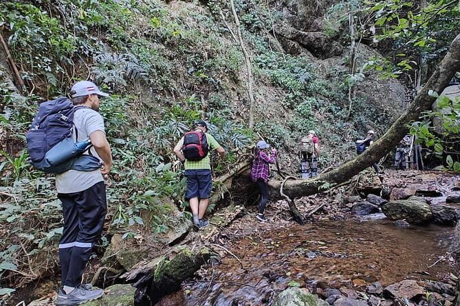 Full Day Doi Saket Hiking Tour - Key highlights to look for