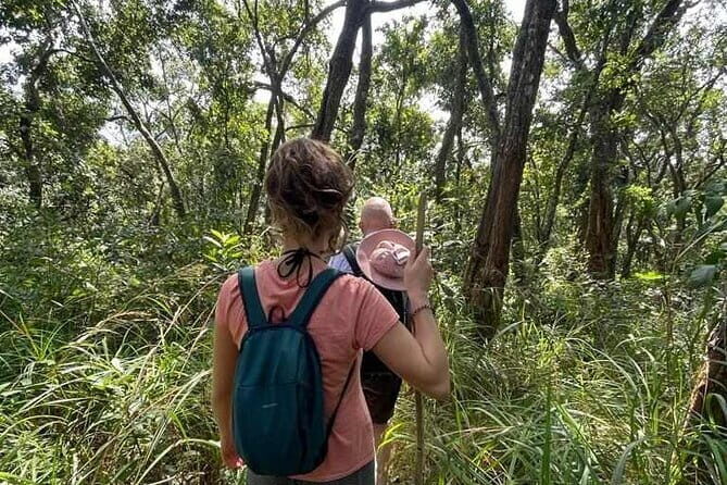 Full Day Doi Saket Hiking Tour - Afternoon Trails Near the Bamboo Grove (and Why It’s Worth Staying)