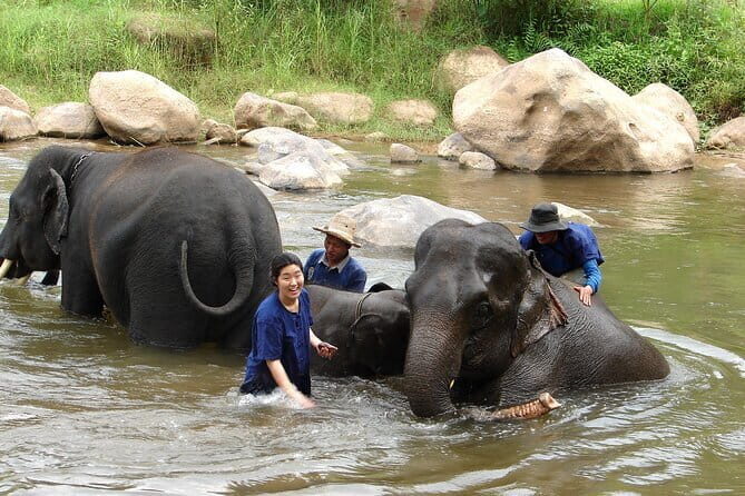 Full Day Elephant Bathing and Bamboo Rafting Tour in Chiang Mai - A one-day combo that doesn’t feel chopped up