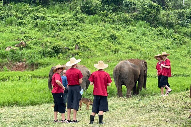 Full Day Experience at Ran-Tong Save & Rescue Elephant Centre - Lunch break: Thai food, fruit, and real recovery time