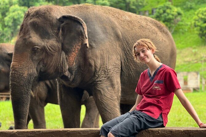 Full Day Experience at Ran-Tong Save & Rescue Elephant Centre - What you should bring (and why it matters for your comfort)