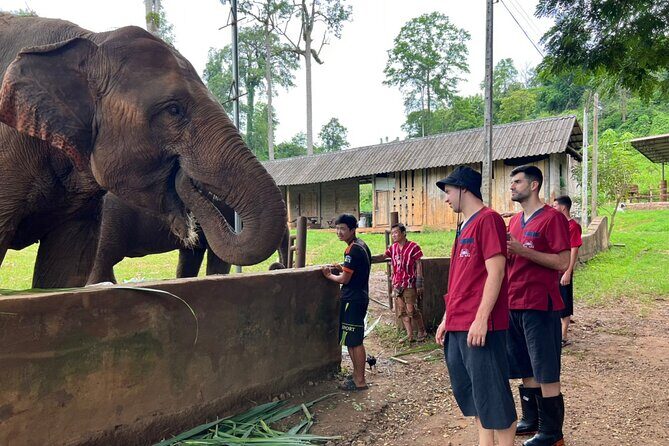 Full Day Experience at Ran-Tong Save & Rescue Elephant Centre - Price and value: what you’re really paying for