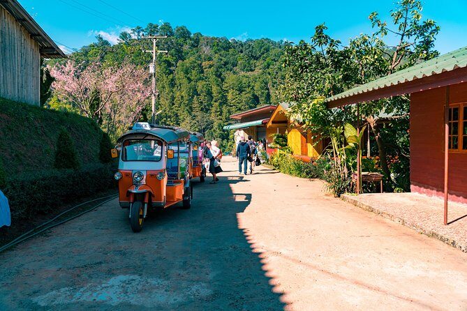 Full-Day Guided Tuk Tuk Chiang Mai Adventure and Rafting - Elephant feeding and bathing, with a clear boundary