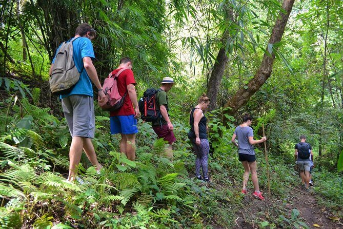 Full-Day Hike and Bike Tour from Chiang Mai - Mae Sa Valley: Why This Hike-and-Bike Day Works