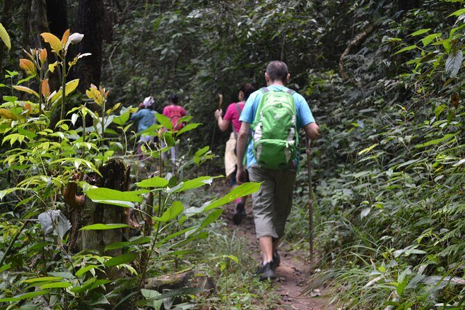 Full-Day Hike and Bike Tour from Chiang Mai - Leaving Chiang Mai: Route 107 and a Temple Stop at Wat Ban Den