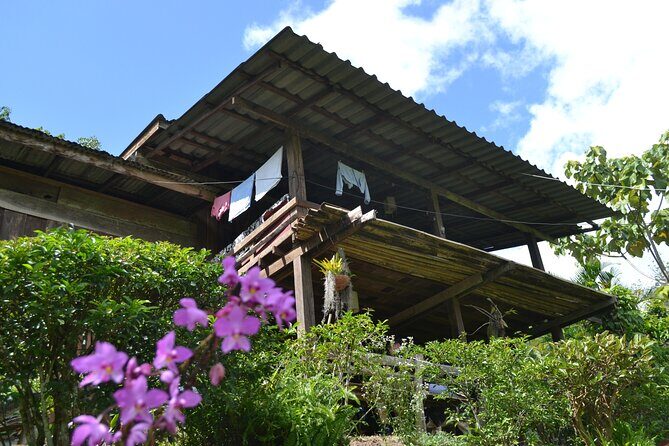 Full-Day Hike and Bike Tour from Chiang Mai - The Bike Ride to an Orchid Farm: Rural Roads, Dirt Sections, and a Soft Landing