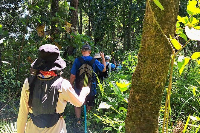 Full-Day Hike and Bike Tour from Chiang Mai - Guides, Small-Group Energy, and the Pace You Actually Want