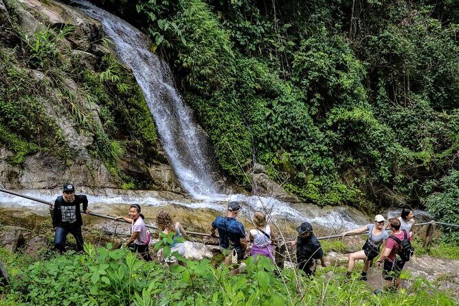 Full-Day Trekking and Sightseeing Tour in Mae Kampong - Key highlights that make this Mae Kampong day worth it