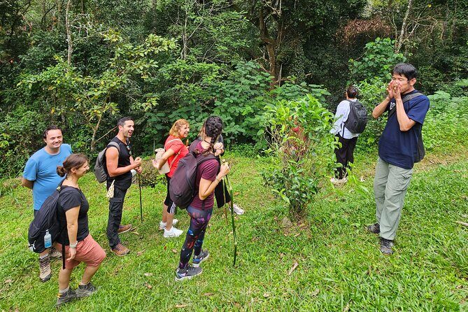 Full-Day Trekking and Sightseeing Tour in Mae Kampong - Rehabilitated gibbons, TK, and the gibbon caretaker donation