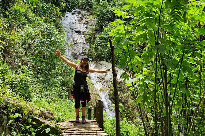 Full-Day Trekking and Sightseeing Tour in Mae Kampong - Mae Kampong Waterfall: hike up, cool off, then coffee with a view