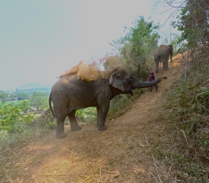 Full-day with CHIANGMAI ELEPHANT CARE and Sticky waterfall - Why This Elephant Care + Sticky Waterfall Day Works