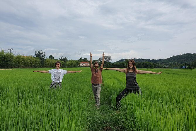 Full Day Yoga, Meditation, and Thai Cultural Immersion in Chiang Mai - Key Highlights You’ll Feel Immediately
