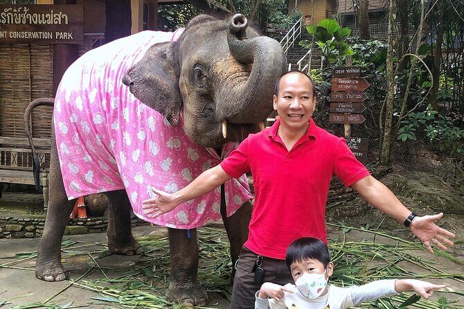 Half Day Car Hire with an English Speaking Driver in Chiang Mai - The “no tourist guide” part: what it means for your experience