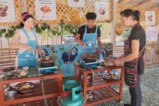 Half Day Chiang Mai Cooking Class and Market Taste Tour - Key Things I’d Pay Attention To