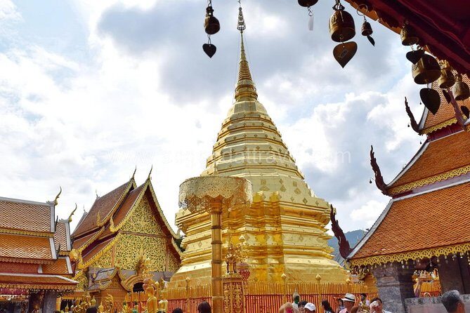 Half Day Doi Suthep Temple and Palad Temple (Private tour) - The guide makes the difference (and you can see it in the reviews)