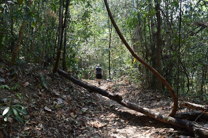 Half Day Doi Suthep Temple and short trekking on monk trail (Private Tour) - A 4-hour private tour that keeps Chiang Mai sights within reach