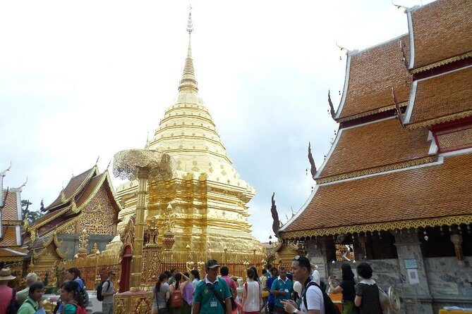 Half Day Doi Suthep Temple and short trekking on monk trail (Private Tour) - Who this tour suits best (and who should adjust expectations)