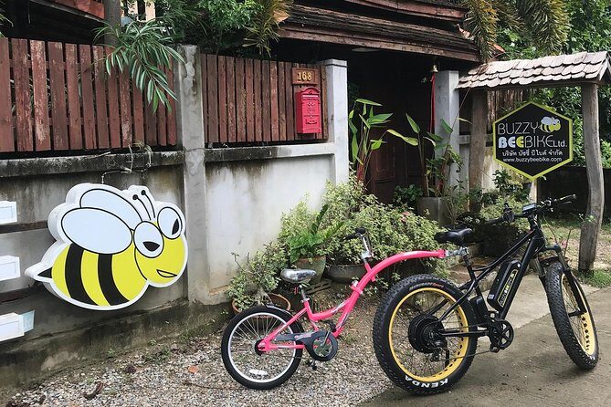 Half-day E-bike Countryside and rice paddies (flat land, GUIDED) - Pickup, timing, and what the half-day schedule feels like